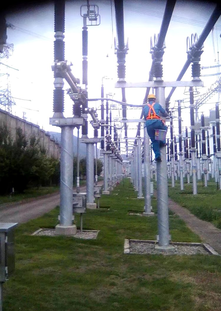 919����Ϳ�ϑ���