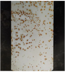 Ϳ���÷��W�P������Щ�N���οƌWʹ���� Ϳ���ھ�,coatingol.com